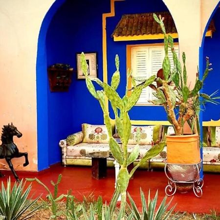 Riad Jasmine Sud ซากอร่า ภายนอก รูปภาพ