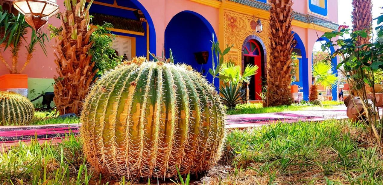 Riad Jasmine Sud ซากอร่า ภายนอก รูปภาพ
